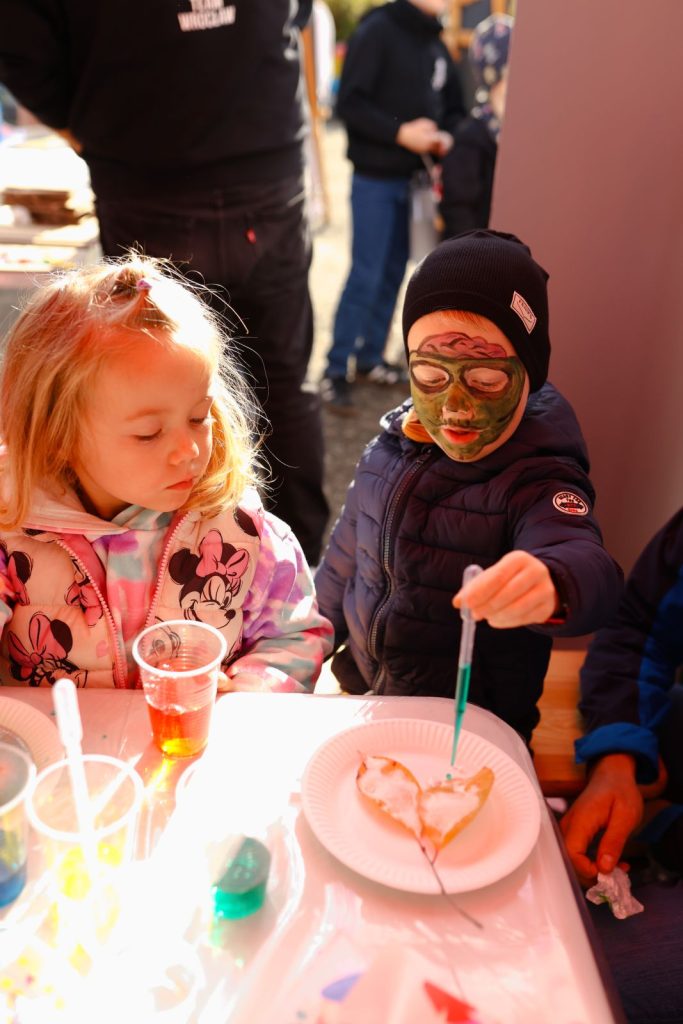 Piknik Eko Górka