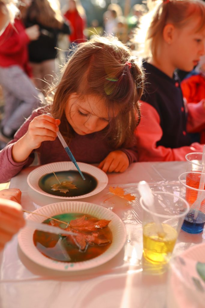 Piknik Eko Górka